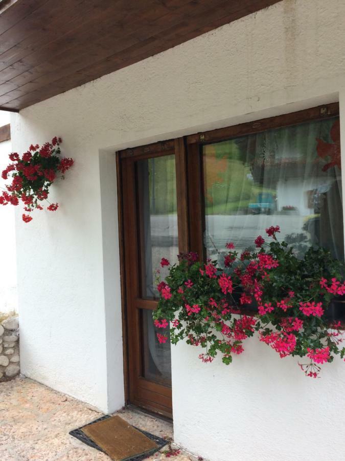 Ca' Dello Scoiattolo Apartment Cortina d'Ampezzo Luaran gambar