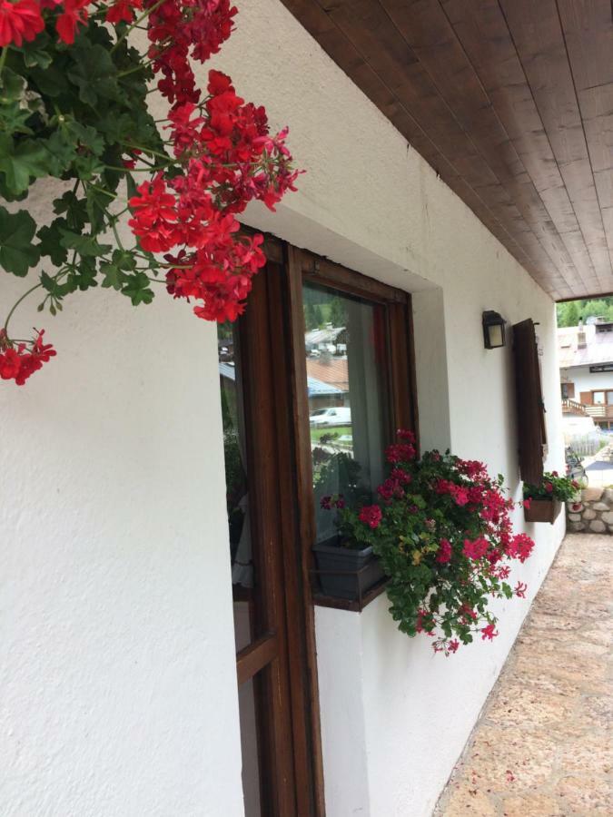 Ca' Dello Scoiattolo Apartment Cortina d'Ampezzo Luaran gambar